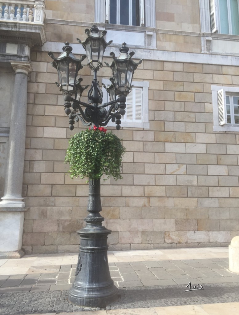 Verdure urbaine par August Luis