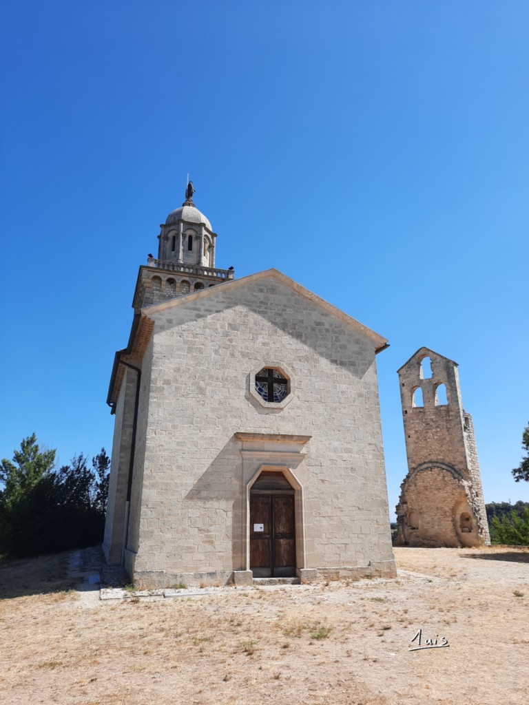 Croix d'araignée par August Luis