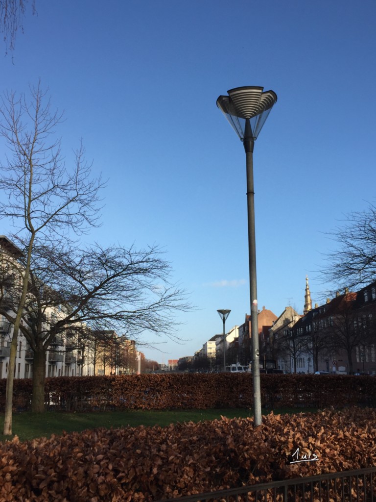 Haies d'automne par August Luis