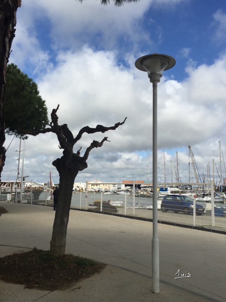 Le port de plaisance par August Luis