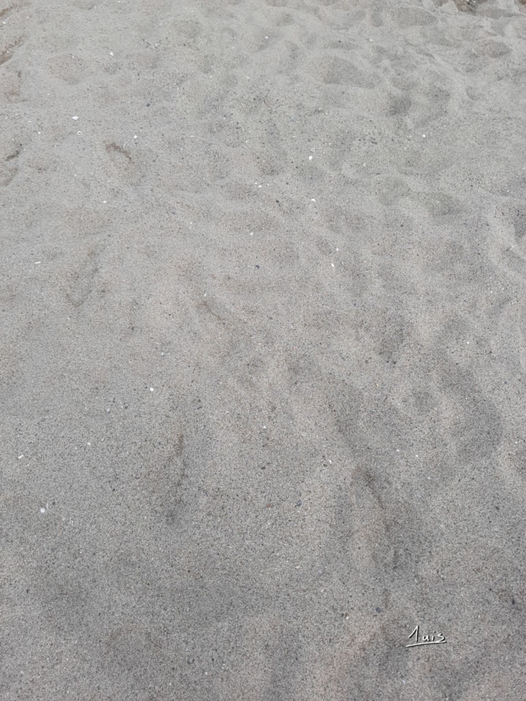 Sable par August Luis