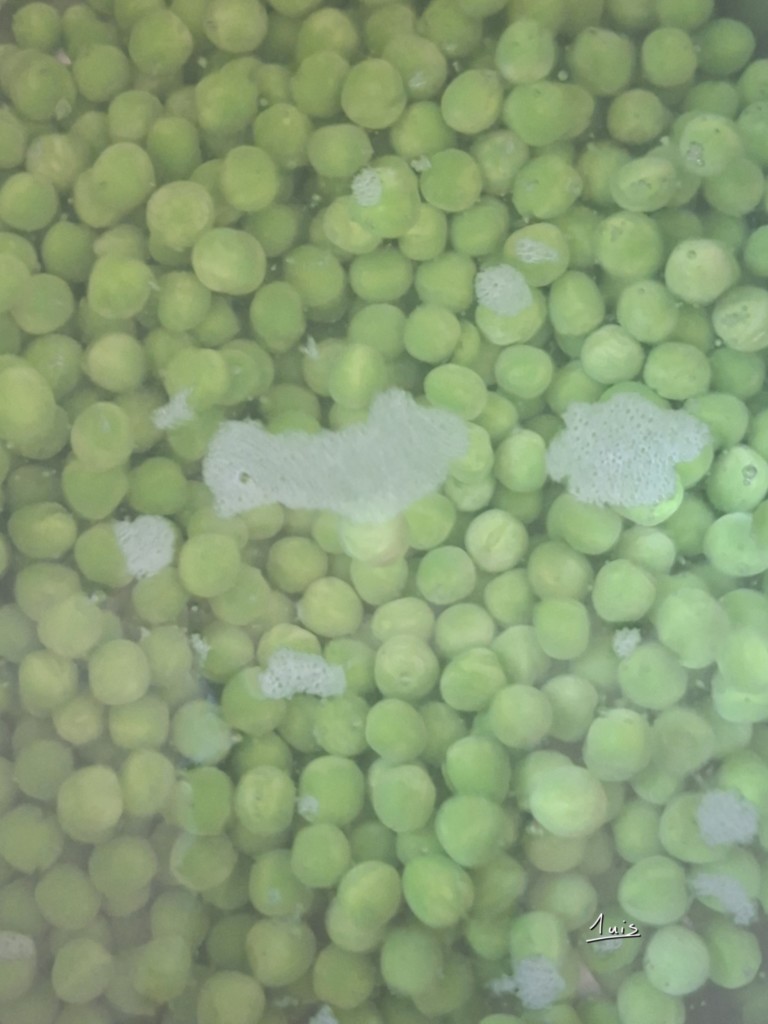 Petits pois par August Luis