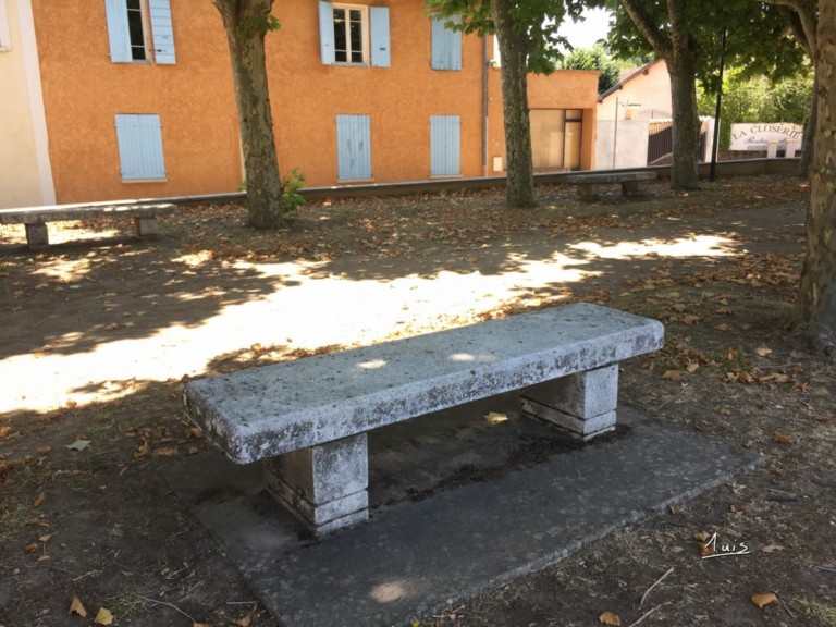 Platanes par August Luis