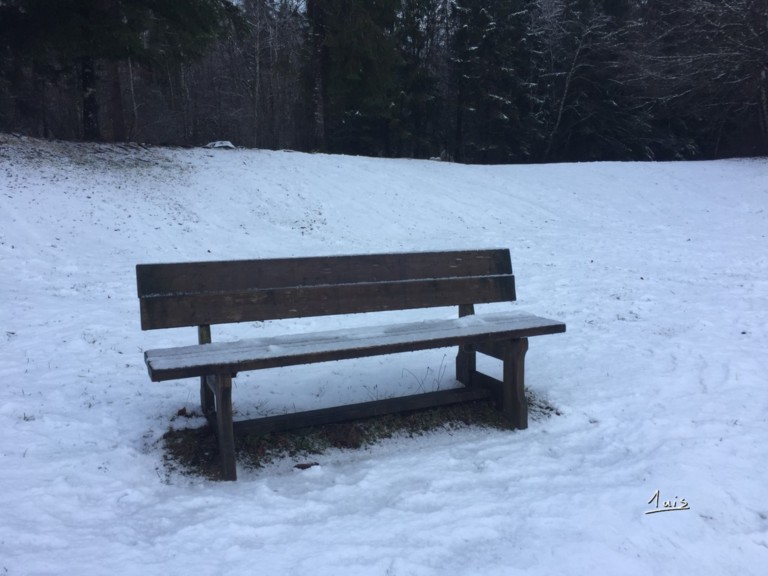 Forêt blanche par August Luis
