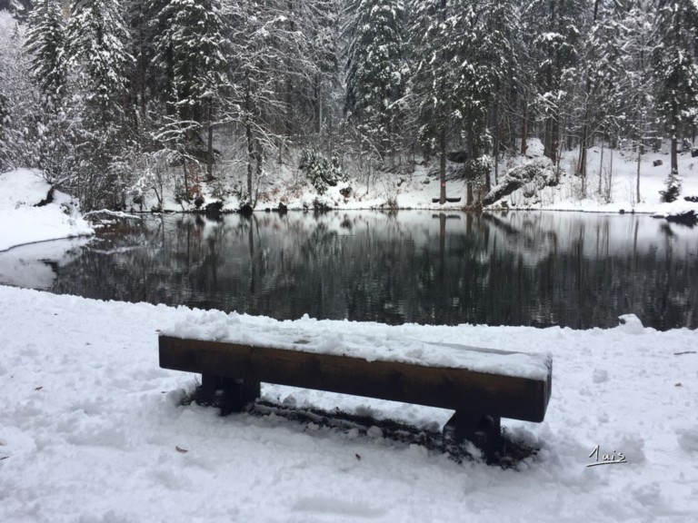 Lac d'hiver par August Luis