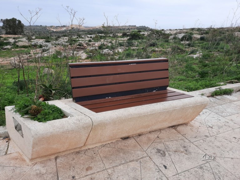 Végétation par August Luis