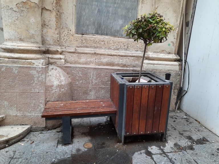 Arbuste par August Luis