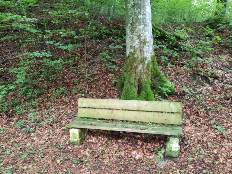 Mousse par August Luis