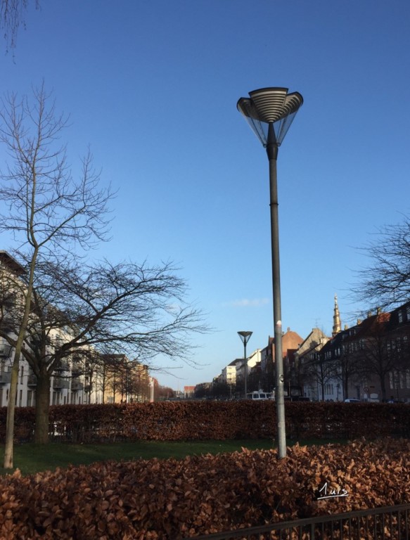 Haies d'automne par August Luis