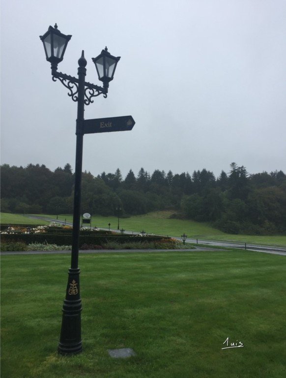 Sortie par August Luis