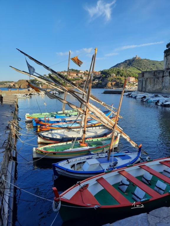 Barques par August Luis