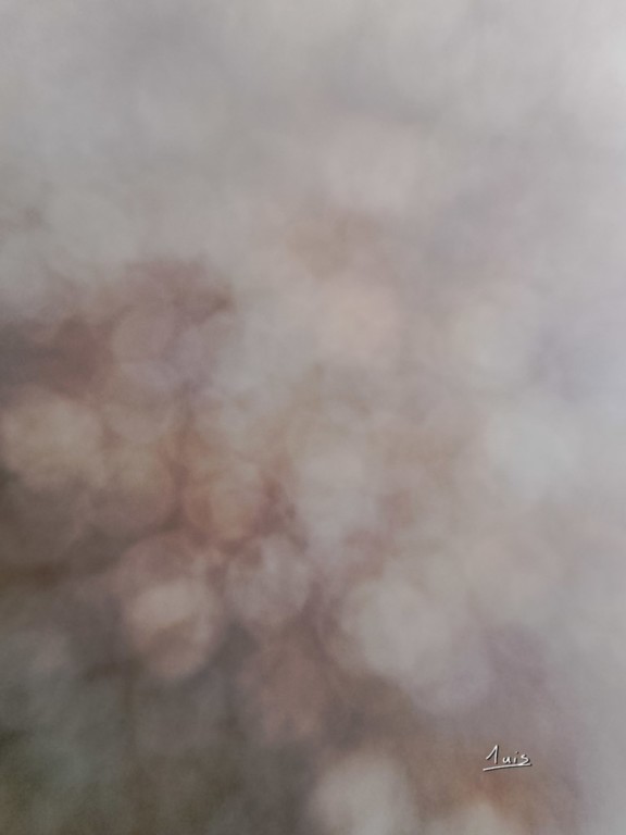 Lestaubière par August Luis