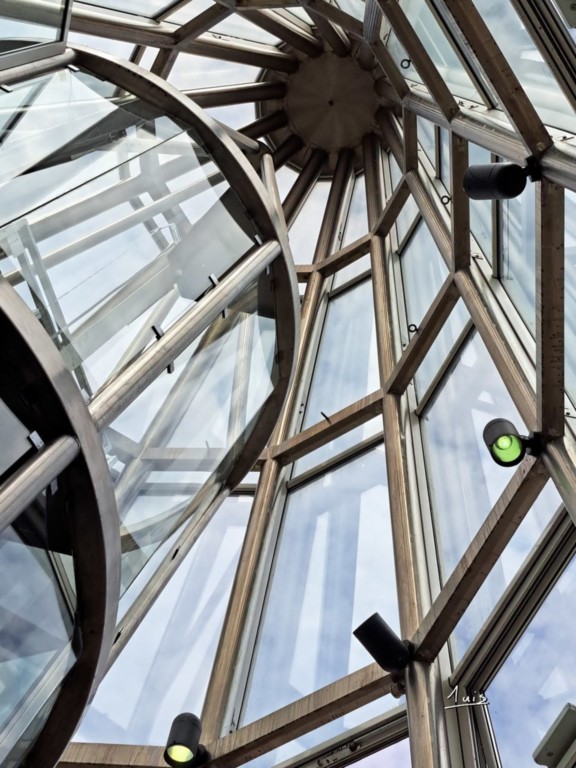 Araignée par August Luis