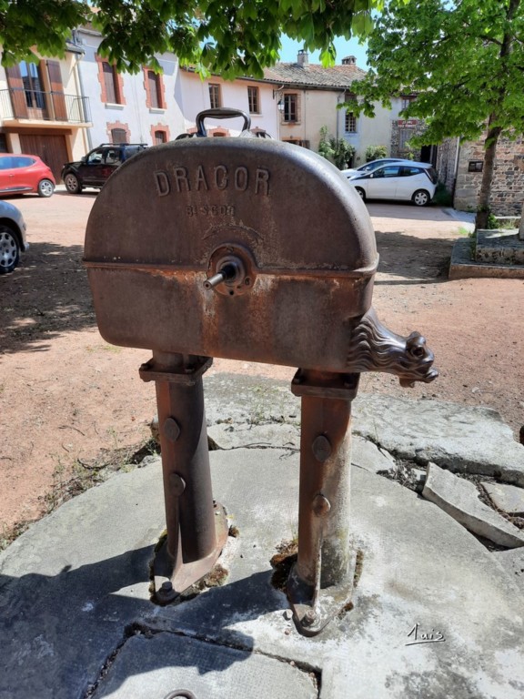 Dragon par August Luis