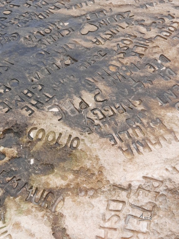 Noms par August Luis