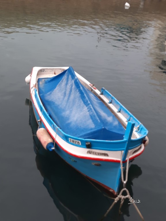 Barque par August Luis