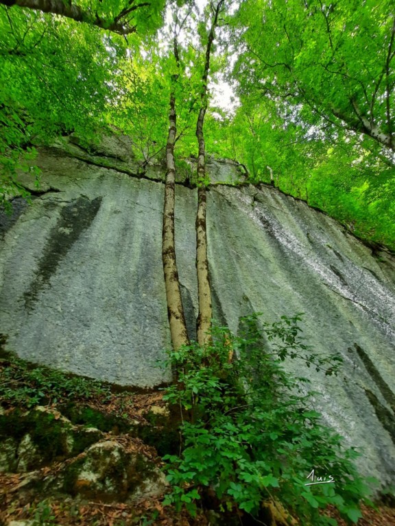 Vertiges par August Luis