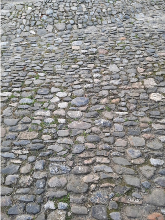 Pavage par August Luis