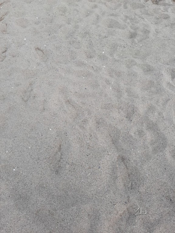 Sable par August Luis