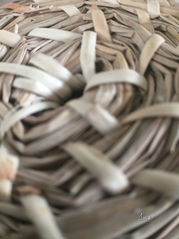 Panier par August Luis