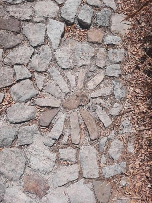 Fleur de pierre par August Luis