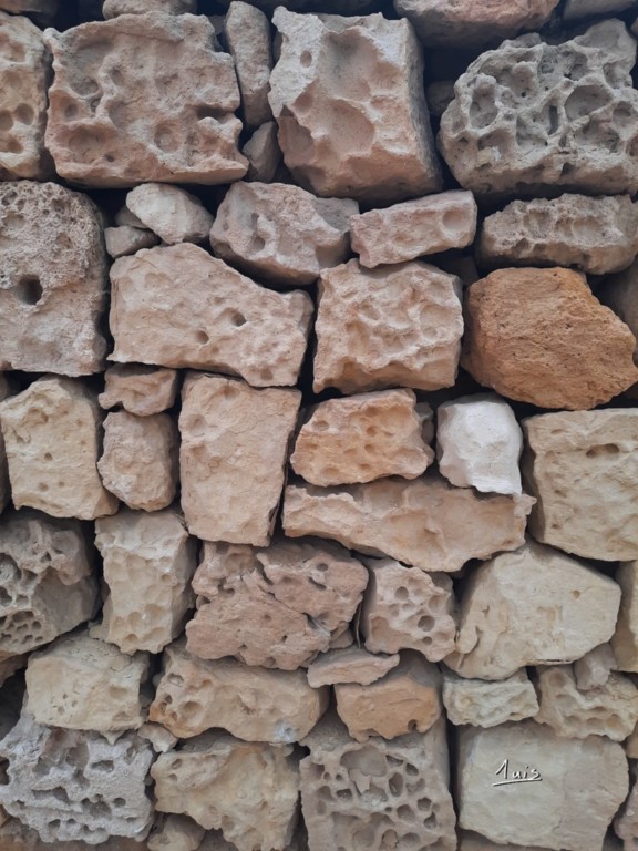 Mur spongieux par August Luisux