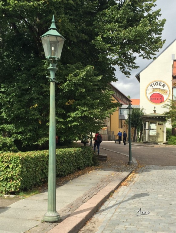 Le tigre par August Luis