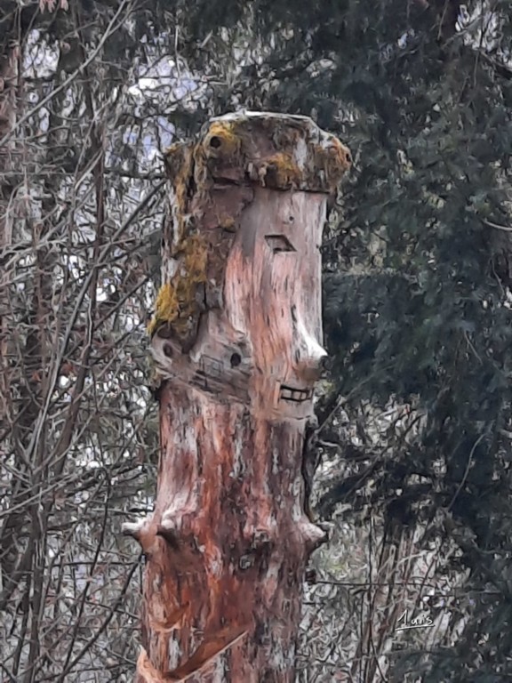 Tronche par August Luis