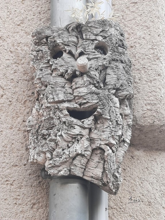 Ecorce par August Luis