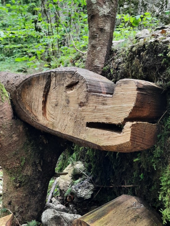 Chien par August Luis