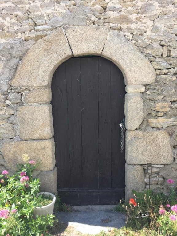 Fleurs par August Luis