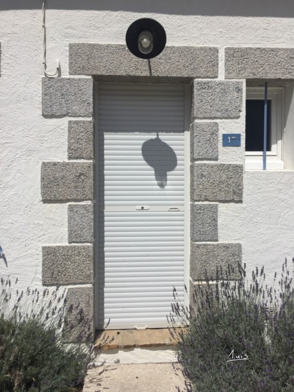 Lavande par August Luis