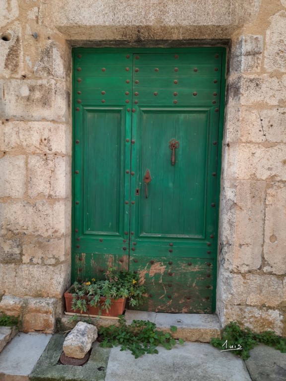 Vert fleuri par August Luis