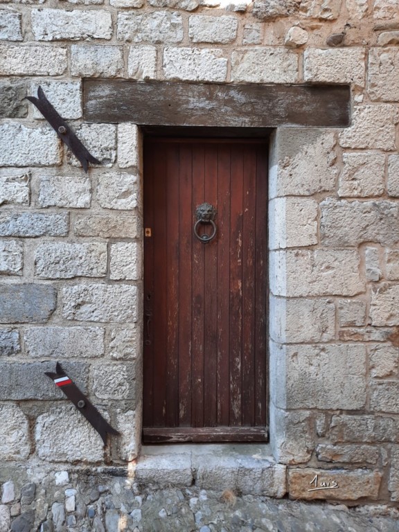 Lion par August Luis