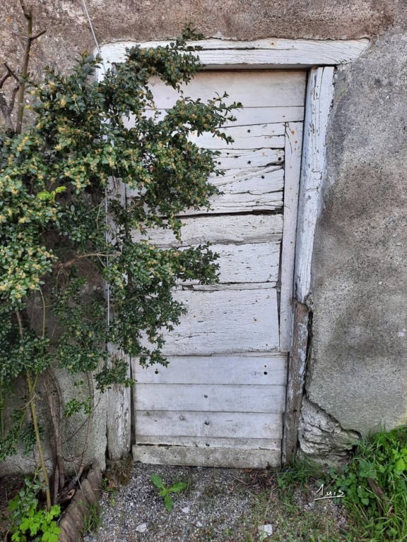 Caché par August Luis