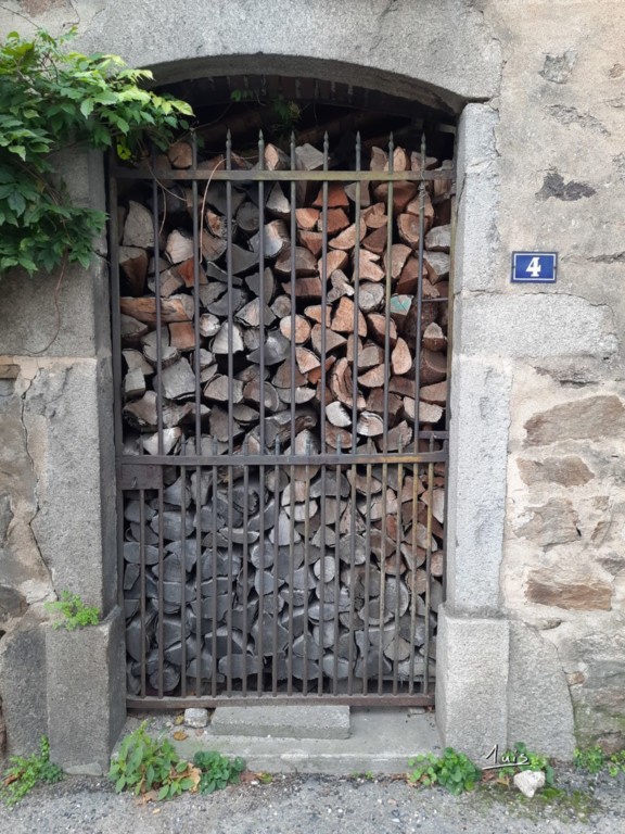 Bois emprisonné par August Luis