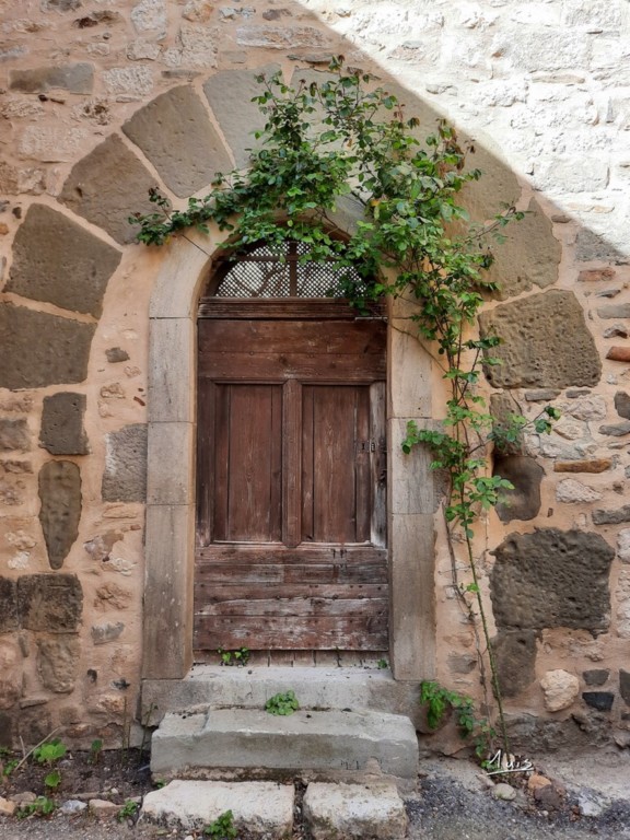 Feuillage par August Luis