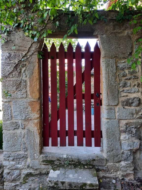 Lamelles rouges par August Luis