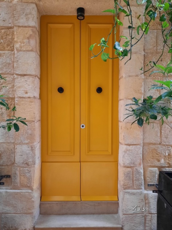 Citron par August Luis