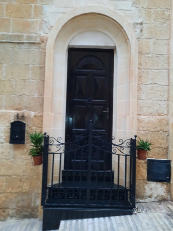 Plante verte par August Luis