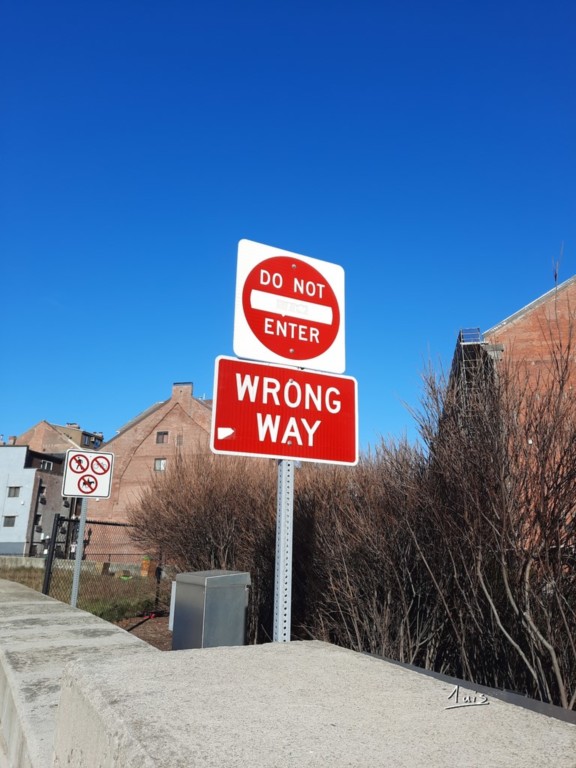 Insistance par August Luis