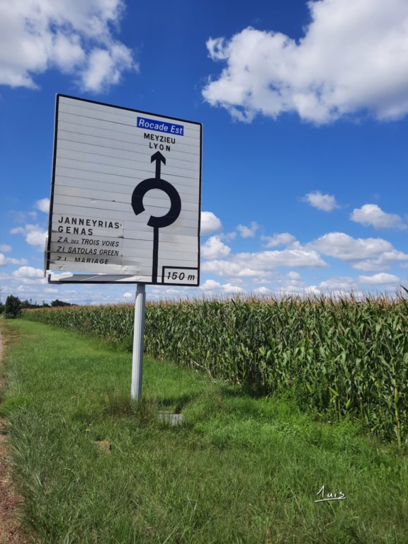 Un choix par August Luis