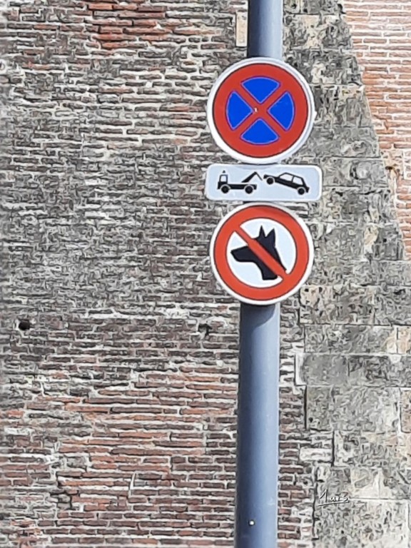 Interdit aux chiens par August Luis