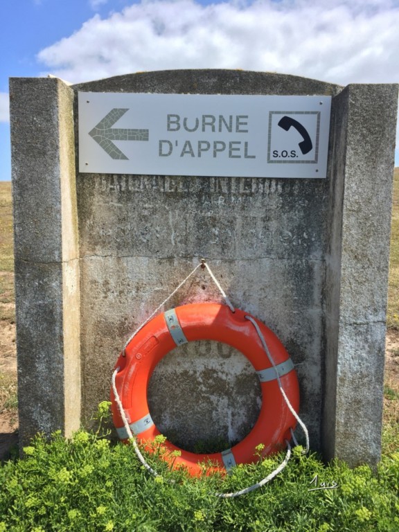 Borne par August Luis