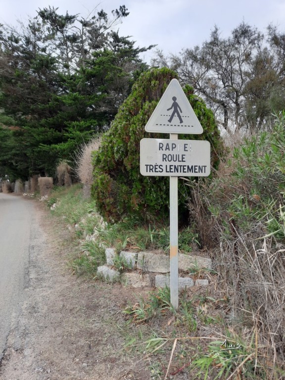 Marche par August Luis