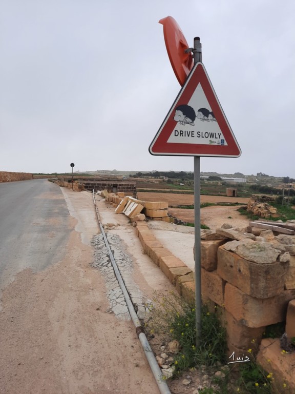 Famille hérissons par August Luis