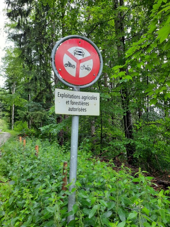 Huit roues par August Luis