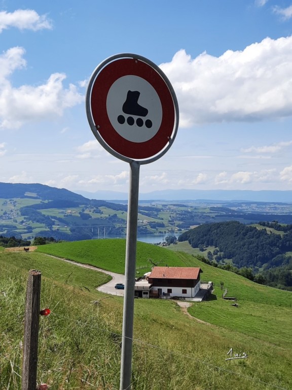 Quatre roues par August Luis