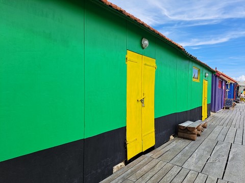 Yellow door by August Luis